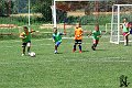 Nedela 17