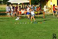 Nedela 222