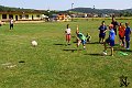 Nedela 29