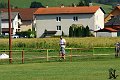 Nedela 81