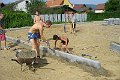 P1030139